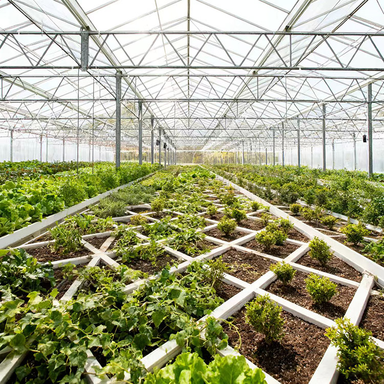 Impact of Agricultural Irrigation and Drainage Pipes on Crop Production